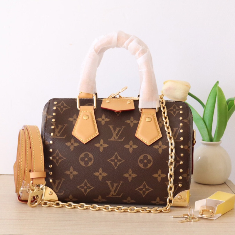 LV Speedy Bags